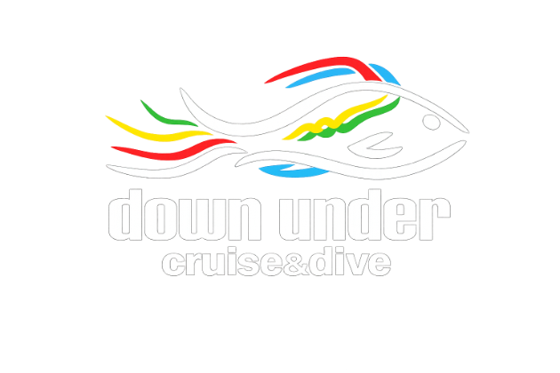 Down Under Cruise and Dive